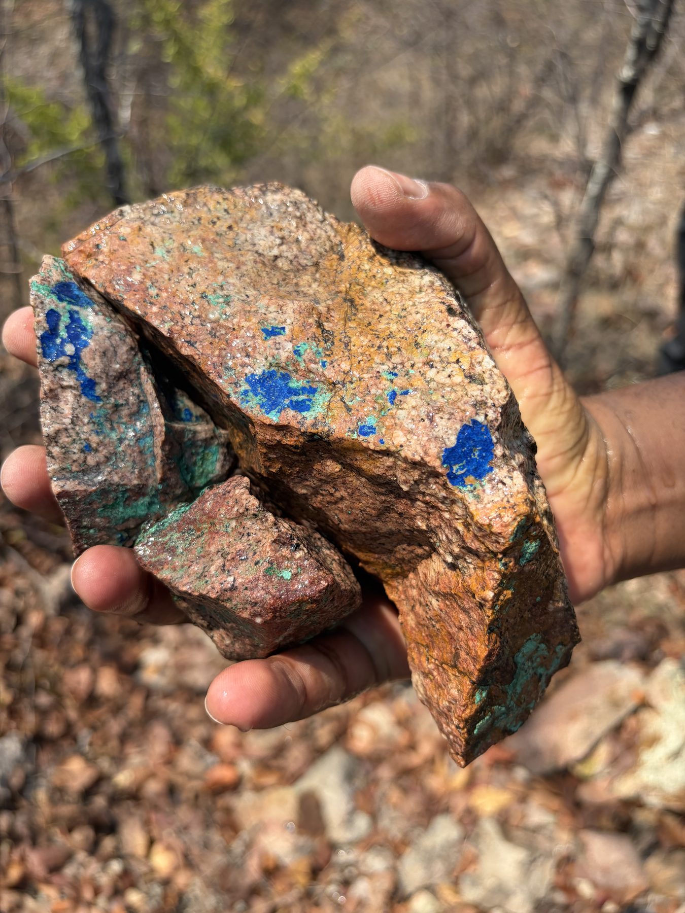 PL122/2025 shows strong Cu-Ni-Au potential near Botswana's historic mining belt