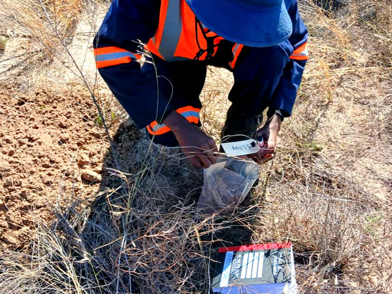 Field photo 6