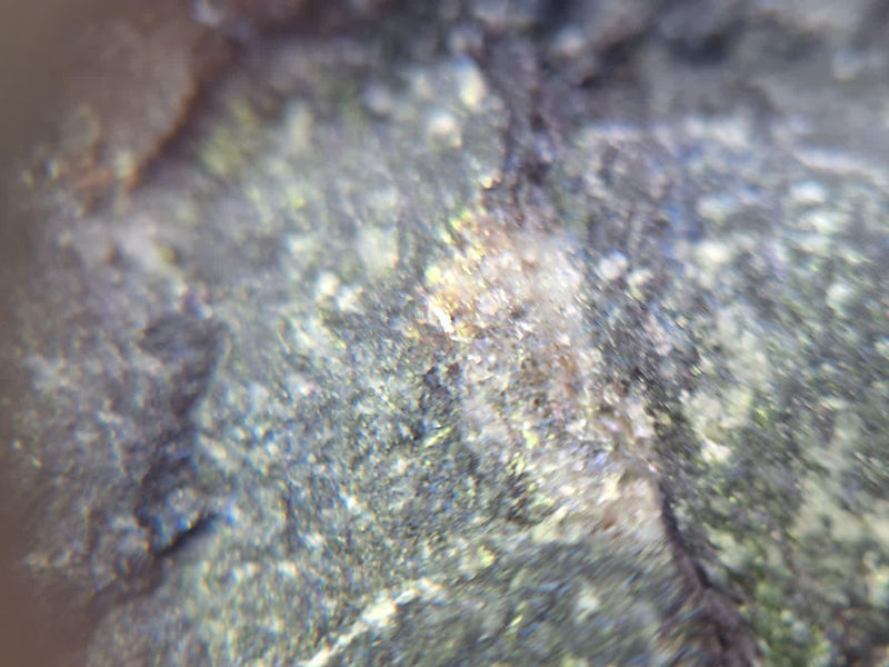Field photo 3