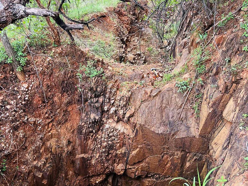 Falcon Metal Resources field photo 4