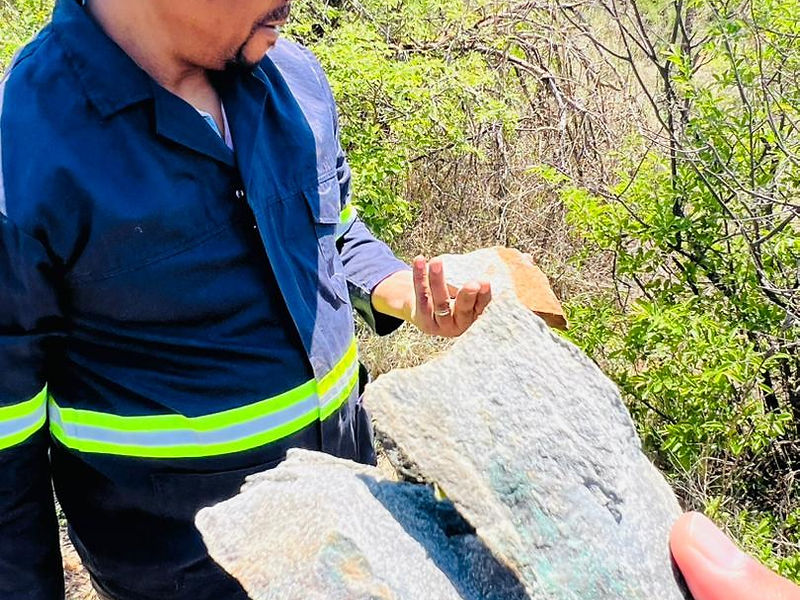 Falcon Metal Resources field photo 6