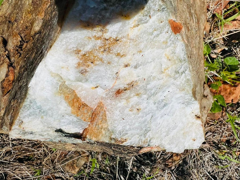 Falcon Metal Resources field photo 3